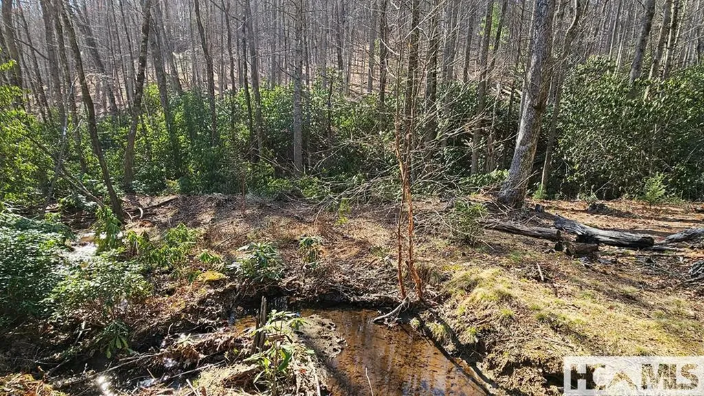 Lot 138 N Buckberry Drive North Cashiers NC 28774