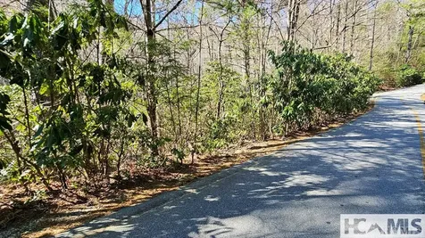 Lot 138 N Buckberry Drive North Cashiers NC 28774