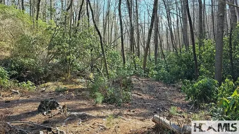 Lot 138 N Buckberry Drive North Cashiers NC 28774