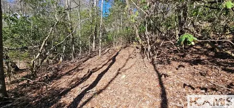 Lot 138 N Buckberry Drive North Cashiers NC 28774