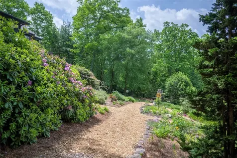 550 Silly Ridge Road Scaly Mountain NC 28775