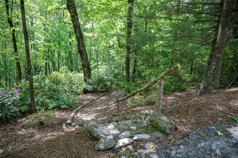 550 Silly Ridge Road Scaly Mountain NC 28775