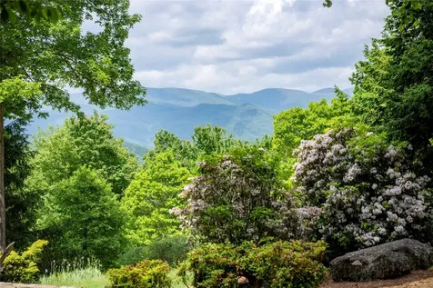 550 Silly Ridge Road Scaly Mountain NC 28775