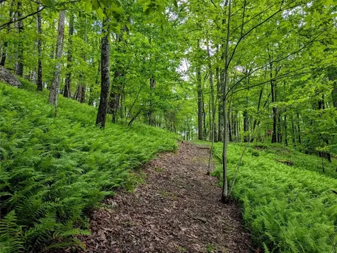 Lot 3 Treasurewood Road Glenville NC 28736