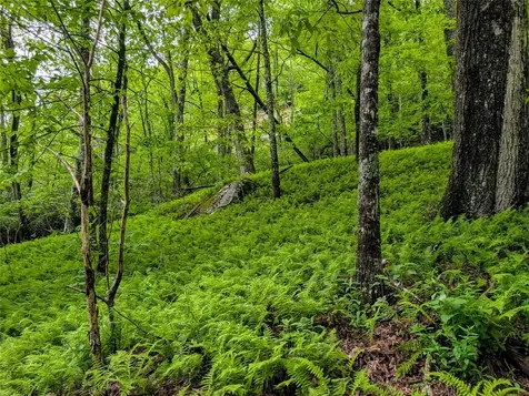 Lot 3 Treasurewood Road Glenville NC 28736