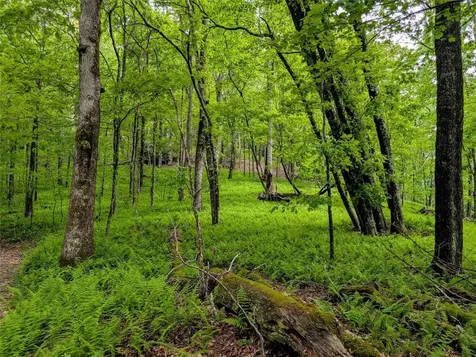 Lot 3 Treasurewood Road Glenville NC 28736