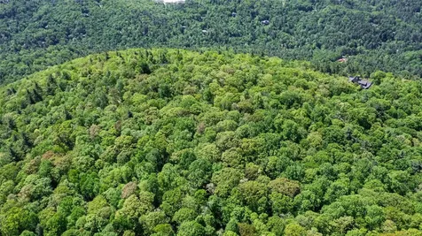 Lot 3 Treasurewood Road Glenville NC 28736