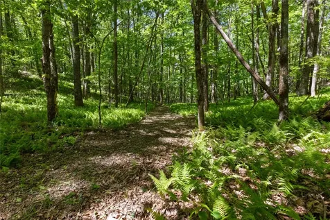 Lot 3 Treasurewood Road Glenville NC 28736