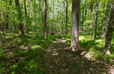 Lot 3 Treasurewood Road Glenville NC 28736
