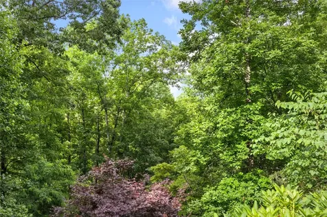 3398 Cullowhee Forest Road Cullowhee NC 28723