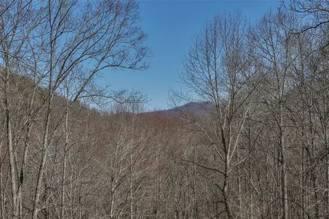3398 Cullowhee Forest Road Cullowhee NC 28723