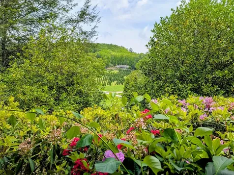 62 Admirals Point Glenville NC 28736