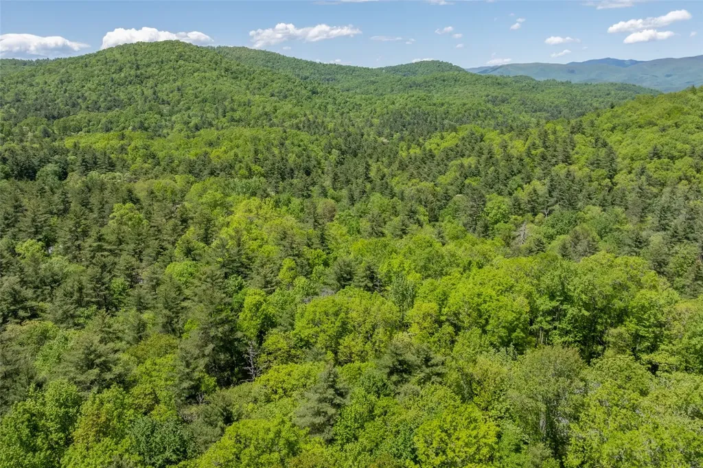 96 Blazing Star Drive Glenville NC 28736