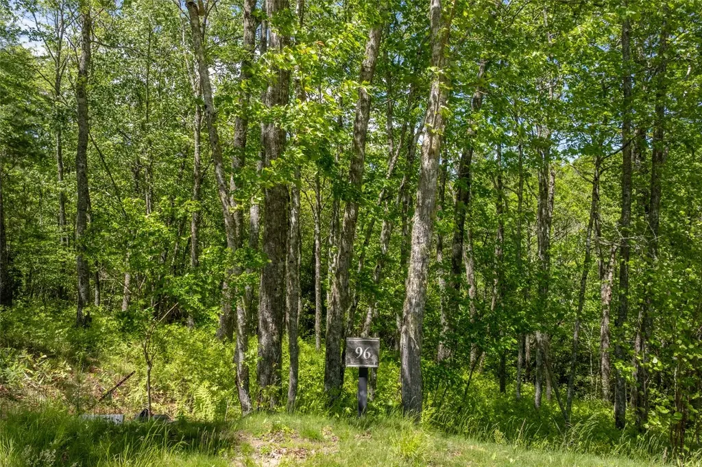 96 Blazing Star Drive Glenville NC 28736