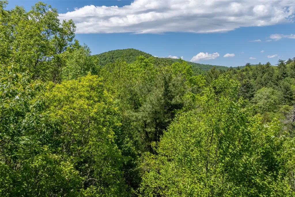 96 Blazing Star Drive Glenville NC 28736