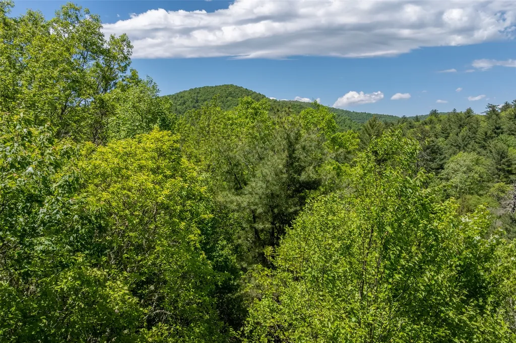 96 Blazing Star Drive Glenville NC 28736