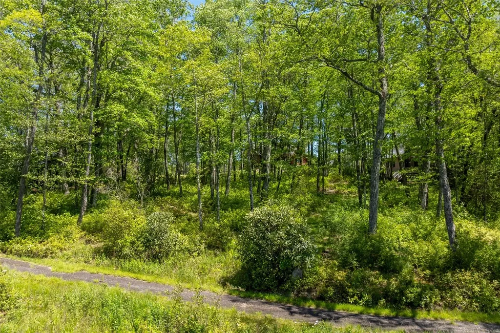 N20 Outpost Trail Glenville NC 28736