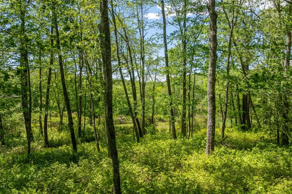 N20 Outpost Trail Glenville NC 28736