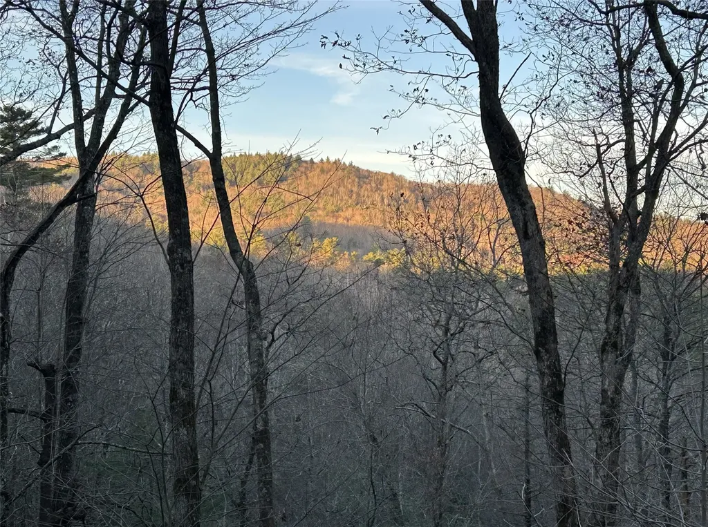 60 Pine Cone Court Sapphire NC 28774