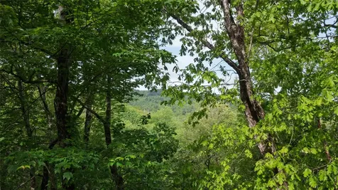 60 Pine Cone Court Sapphire NC 28774