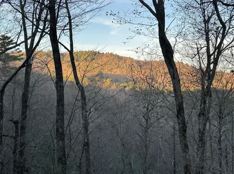 60 Pine Cone Court Sapphire NC 28774