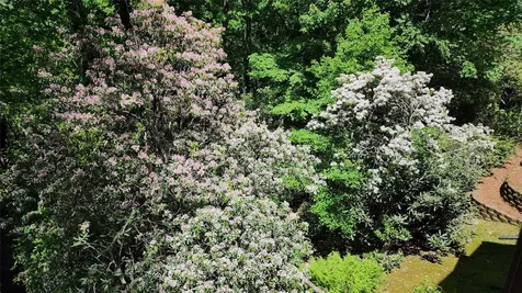 60 Pine Cone Court Sapphire NC 28774