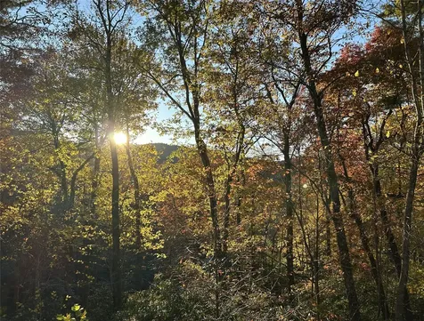 60 Pine Cone Court Sapphire NC 28774