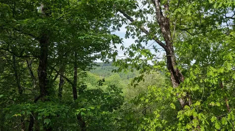 60 Pine Cone Court Sapphire NC 28774