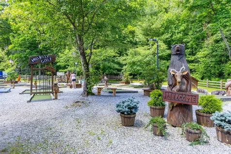 60 Pine Cone Court Sapphire NC 28774