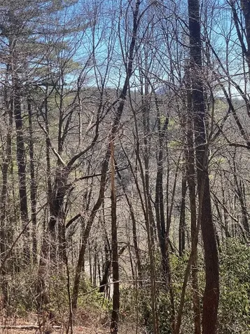 Tba View Point Road Highlands NC 28741