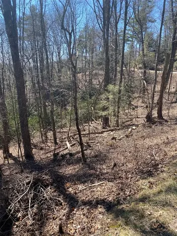 Tba View Point Road Highlands NC 28741