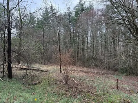 0 Robinson Creek Road Glenville NC 28736