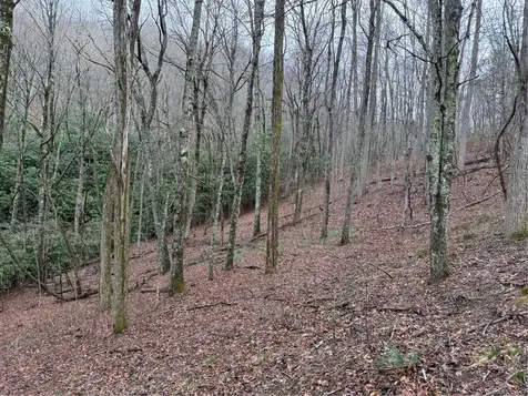 0 Robinson Creek Road Glenville NC 28736