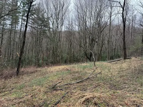 0 Robinson Creek Road Glenville NC 28736