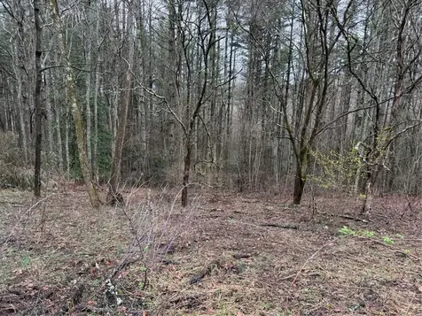 0 Robinson Creek Road Glenville NC 28736