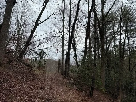 0 Robinson Creek Road Glenville NC 28736