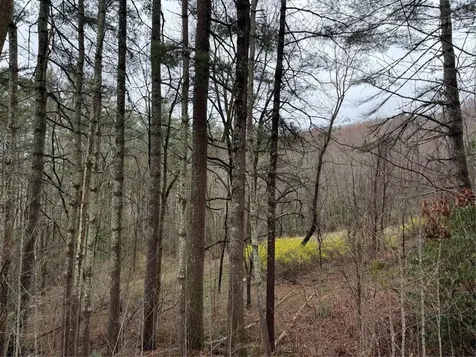 0 Robinson Creek Road Glenville NC 28736