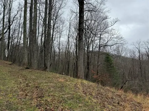 0 Robinson Creek Road Glenville NC 28736