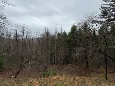 0 Robinson Creek Road Glenville NC 28736