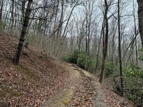 0 Robinson Creek Road Glenville NC 28736