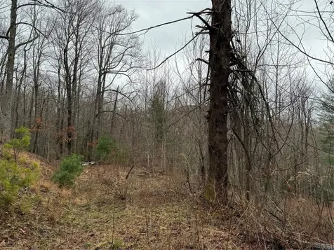 0 Robinson Creek Road Glenville NC 28736