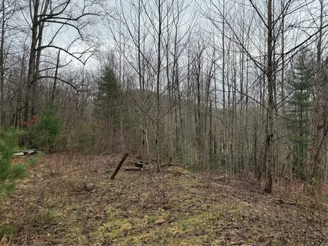 0 Robinson Creek Road Glenville NC 28736