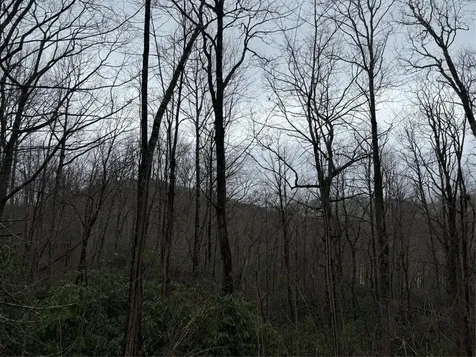 0 Robinson Creek Road Glenville NC 28736