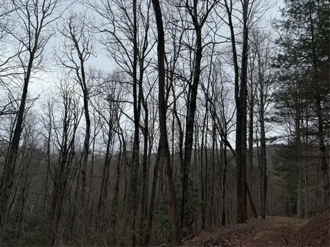 0 Robinson Creek Road Glenville NC 28736