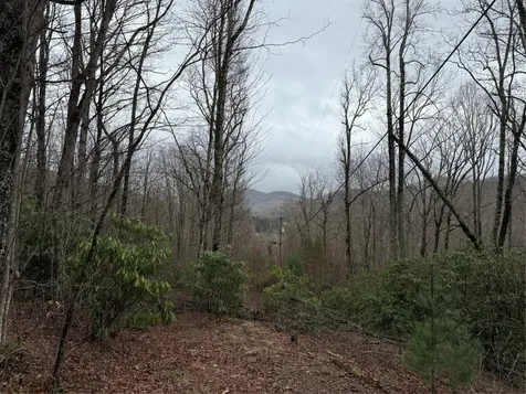 0 Robinson Creek Road Glenville NC 28736