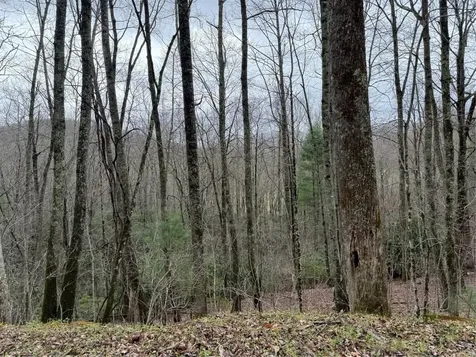 0 Robinson Creek Road Glenville NC 28736