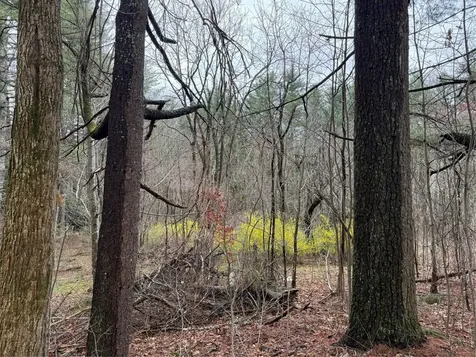 0 Robinson Creek Road Glenville NC 28736