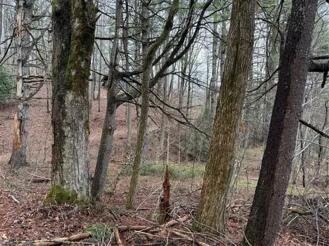 0 Robinson Creek Road Glenville NC 28736