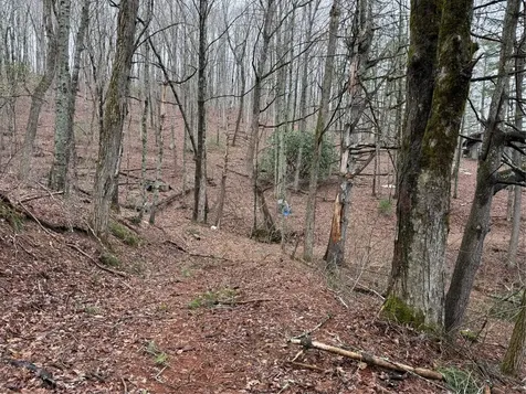 0 Robinson Creek Road Glenville NC 28736