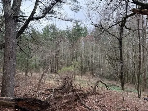 0 Robinson Creek Road Glenville NC 28736